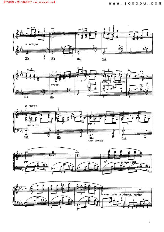 在棕榈树下钢琴谱