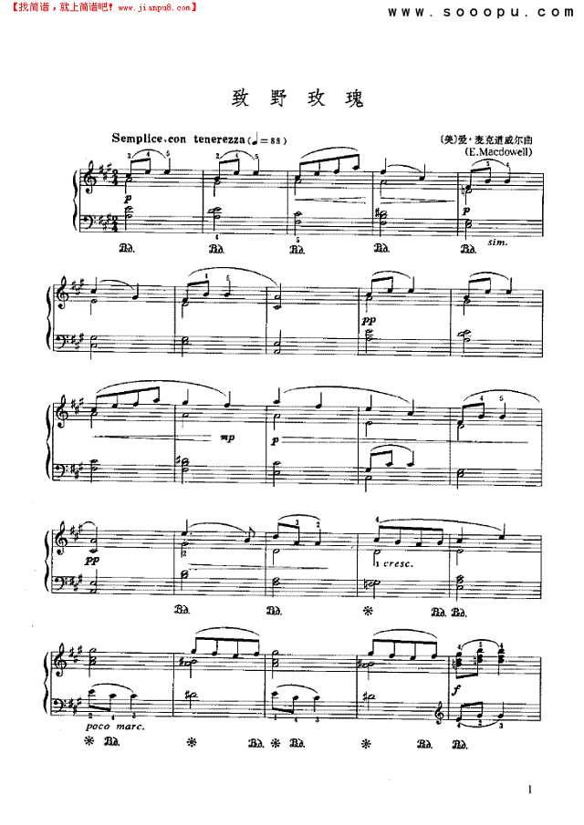 致野玫瑰钢琴谱