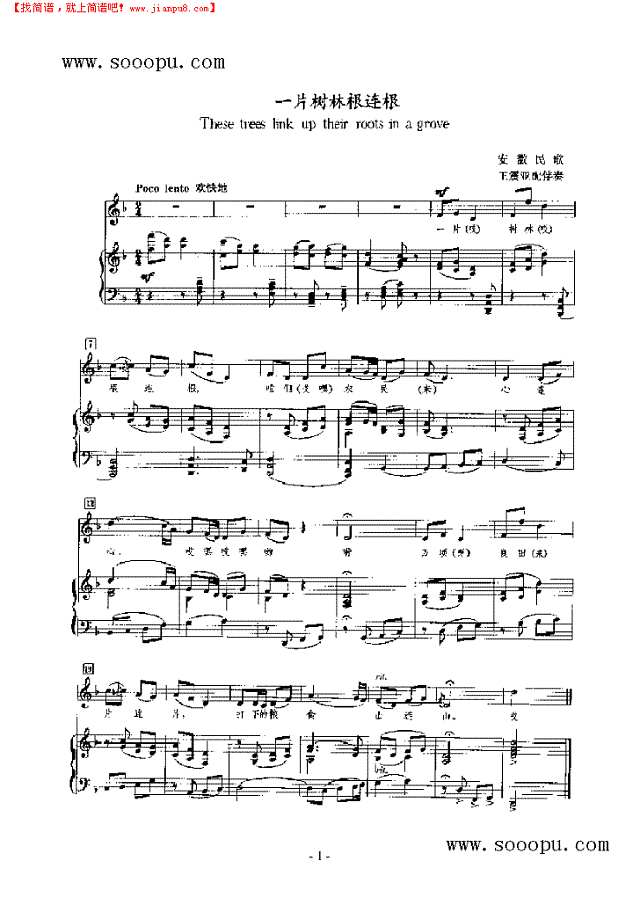 一片树林根连根 歌曲类 钢琴伴奏谱钢琴谱
