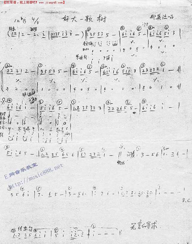 好大一棵树（乐队乐谱）[手稿]简谱
