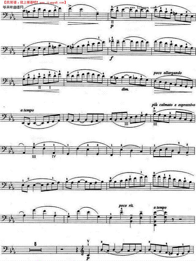 C小調协奏曲(第一乐章)-巴赫其他曲谱