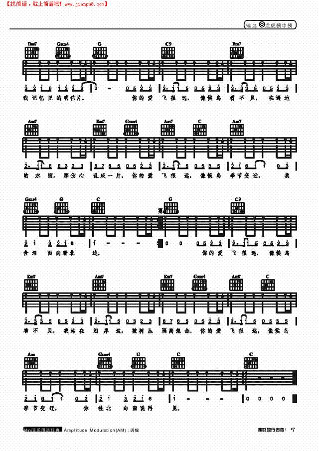 候鸟-弹唱吉他谱