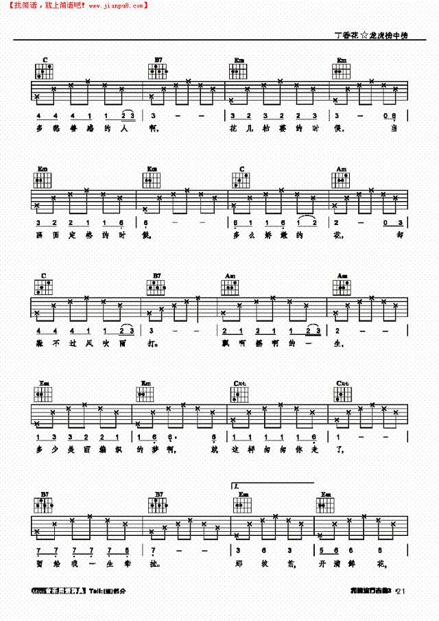 丁香花-弹唱吉他谱