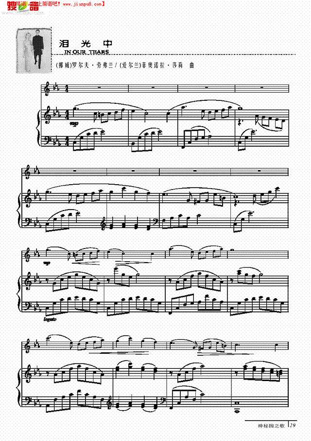 泪光中-钢伴谱 弦乐类 小提琴其他曲谱