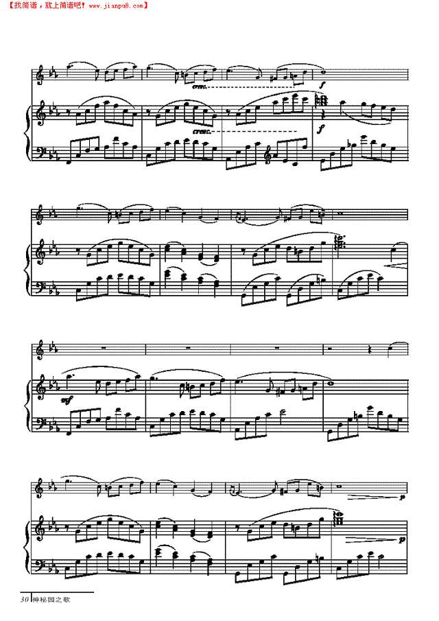 泪光中-钢伴谱 弦乐类 小提琴其他曲谱