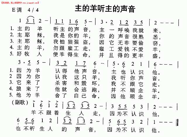 主的羊听主声音简谱