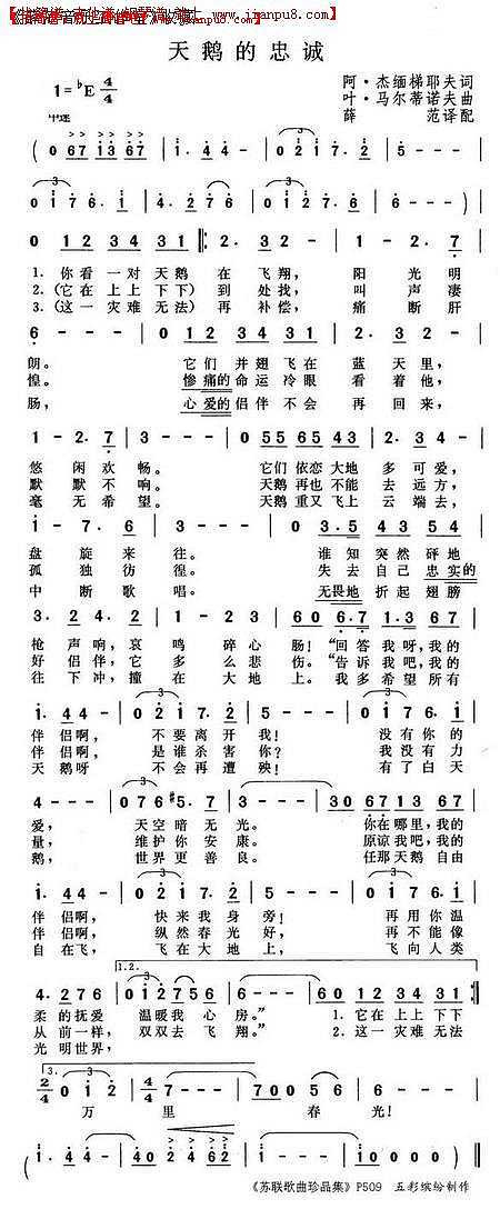 天鹅的忠诚简谱