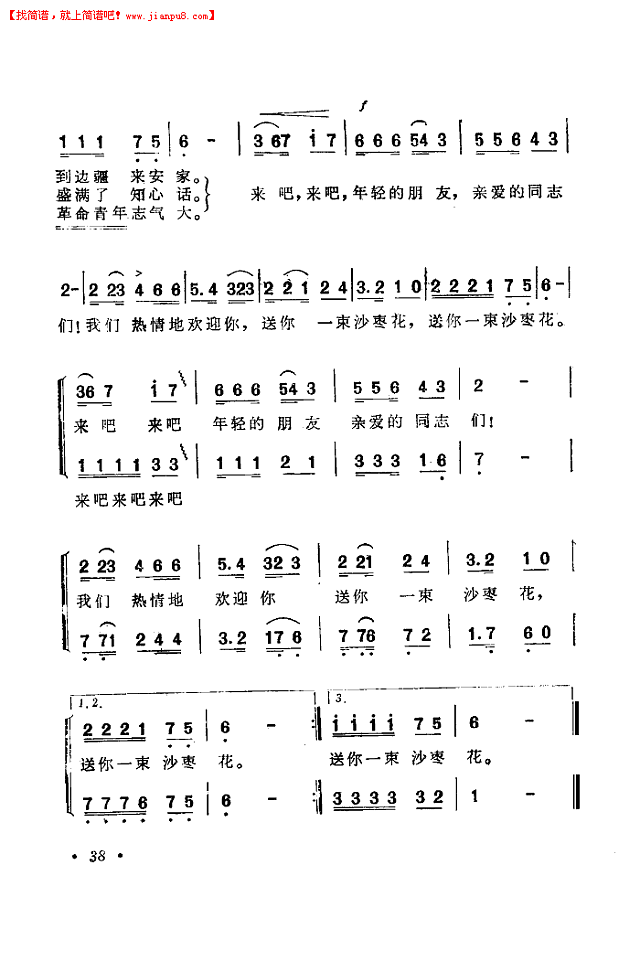 送你一束沙枣花简谱