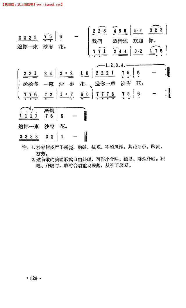 送你一束沙枣花简谱