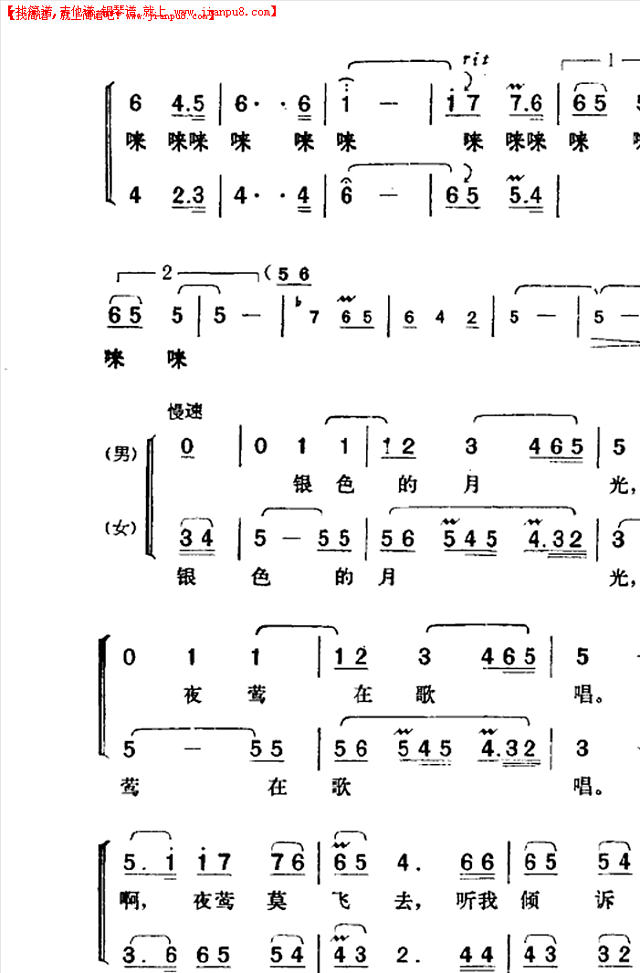 银色的月光简谱