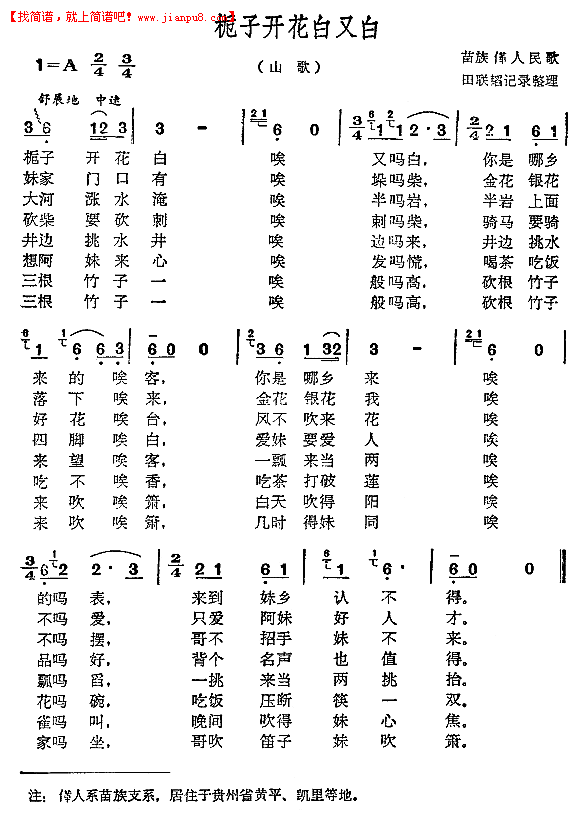 栀子开花白又白简谱
