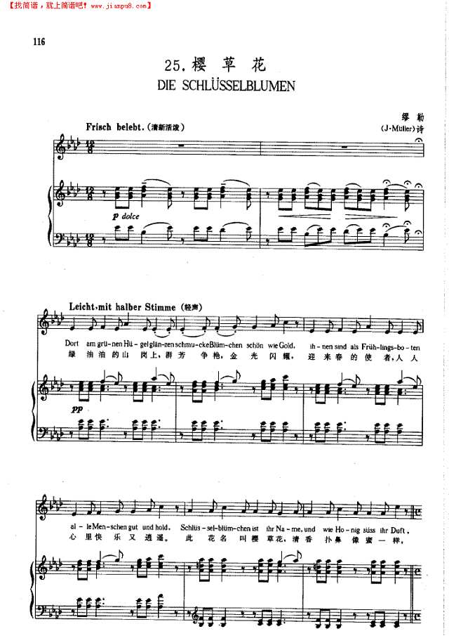 樱草花(钢伴) 歌曲类 钢琴伴奏谱钢琴谱