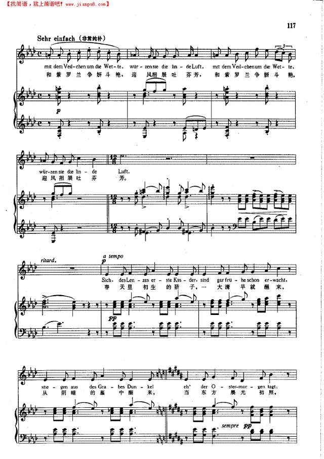 樱草花(钢伴) 歌曲类 钢琴伴奏谱钢琴谱