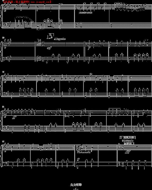 白玫瑰爱的乐章钢琴谱