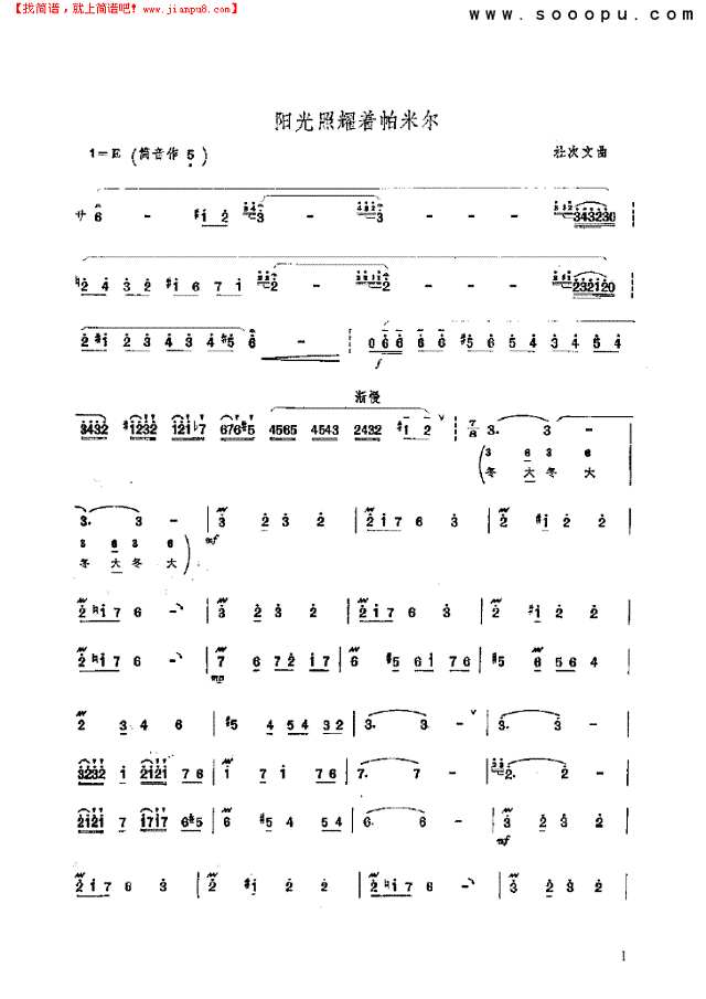 阳光照耀着帕米尔 民乐类 竹笛其他曲谱
