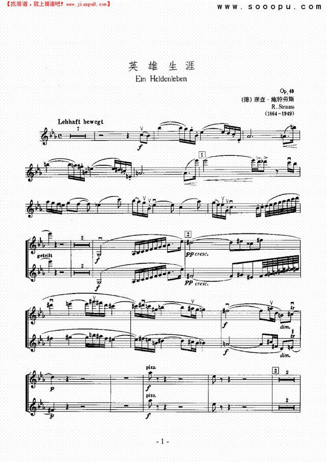 英雄生涯—独奏 弦乐类 小提琴其他曲谱