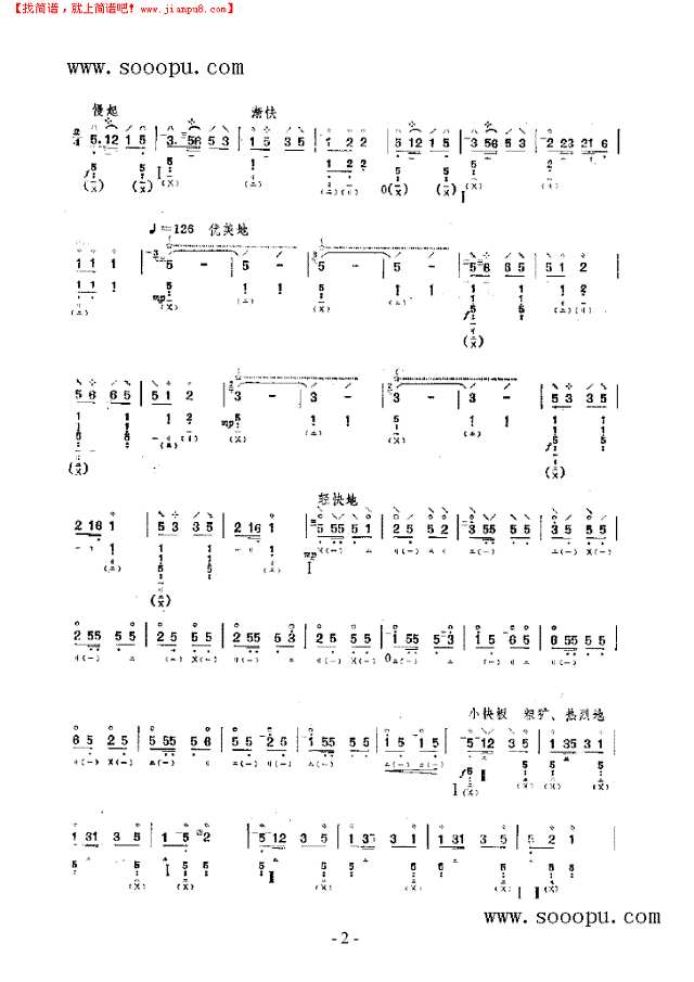 欢乐的瑞丽江畔 民乐类 琵琶其他曲谱