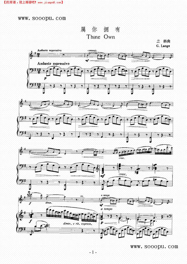 属你拥有—（钢伴） 弦乐类 小提琴其他曲谱