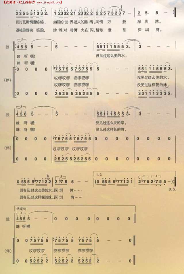 深圳湾情歌简谱