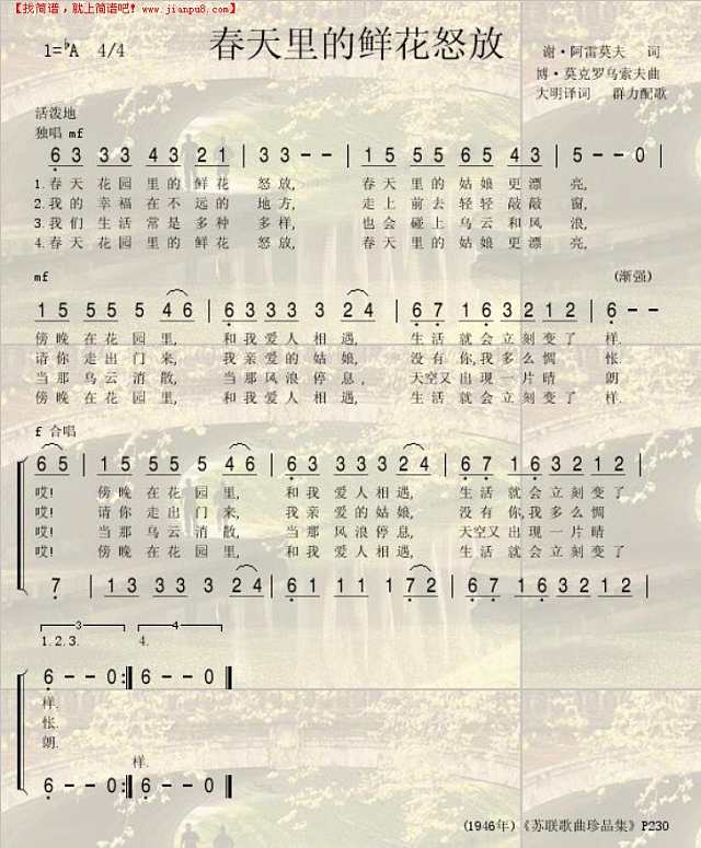 春天里的鲜花怒放简谱
