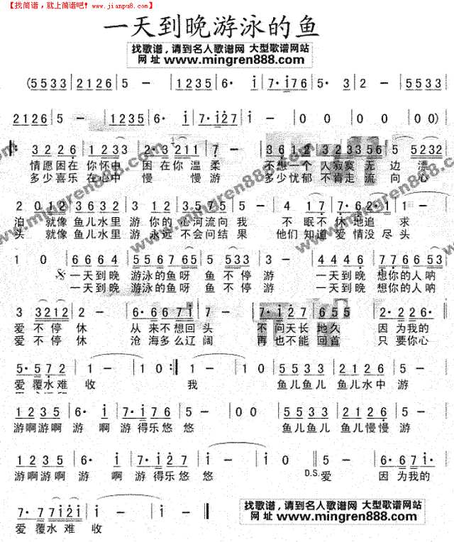 一天到晚游泳的鱼简谱
