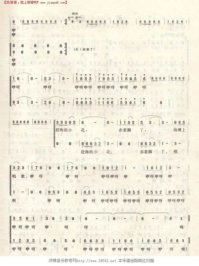 赶海的小花简谱