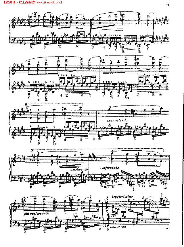 森林的呼啸钢琴谱