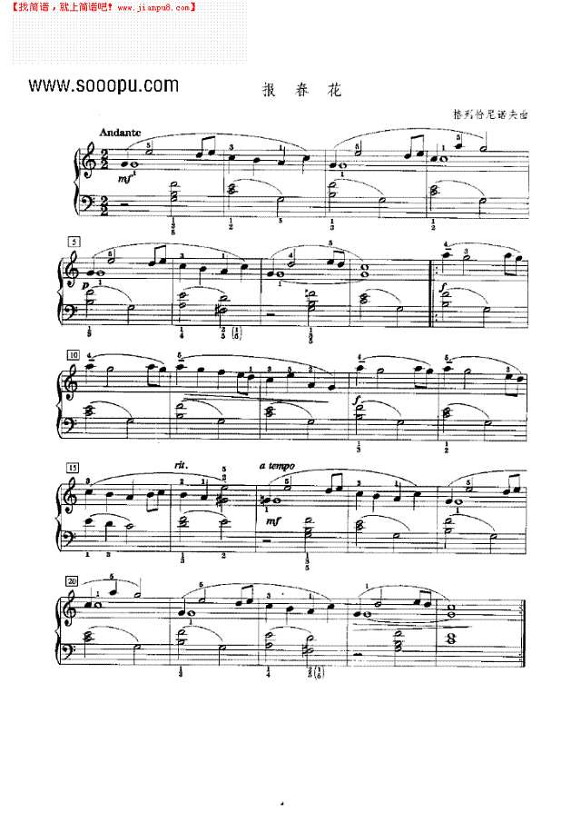 报春花钢琴谱

