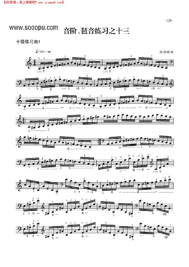 十级练习曲二首琵琶谱其他曲谱
