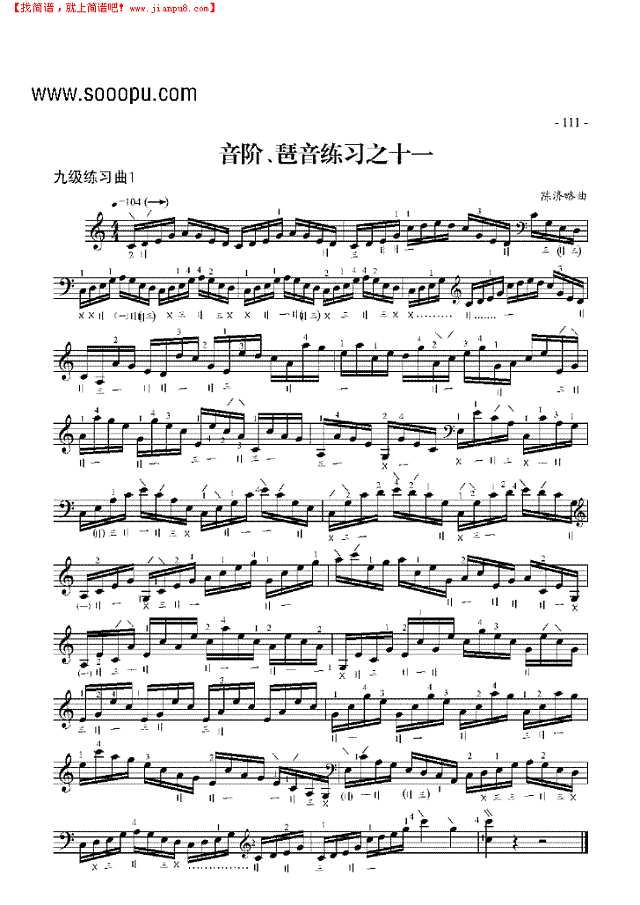 九级练习曲二首 民乐类 琵琶其他曲谱