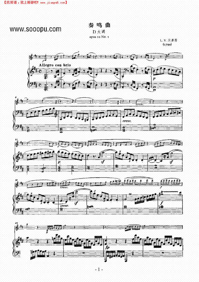 奏鸣曲D大调 歌曲类 钢琴伴奏谱钢琴谱