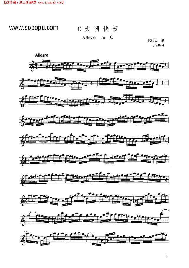 C大调快板其他曲谱
