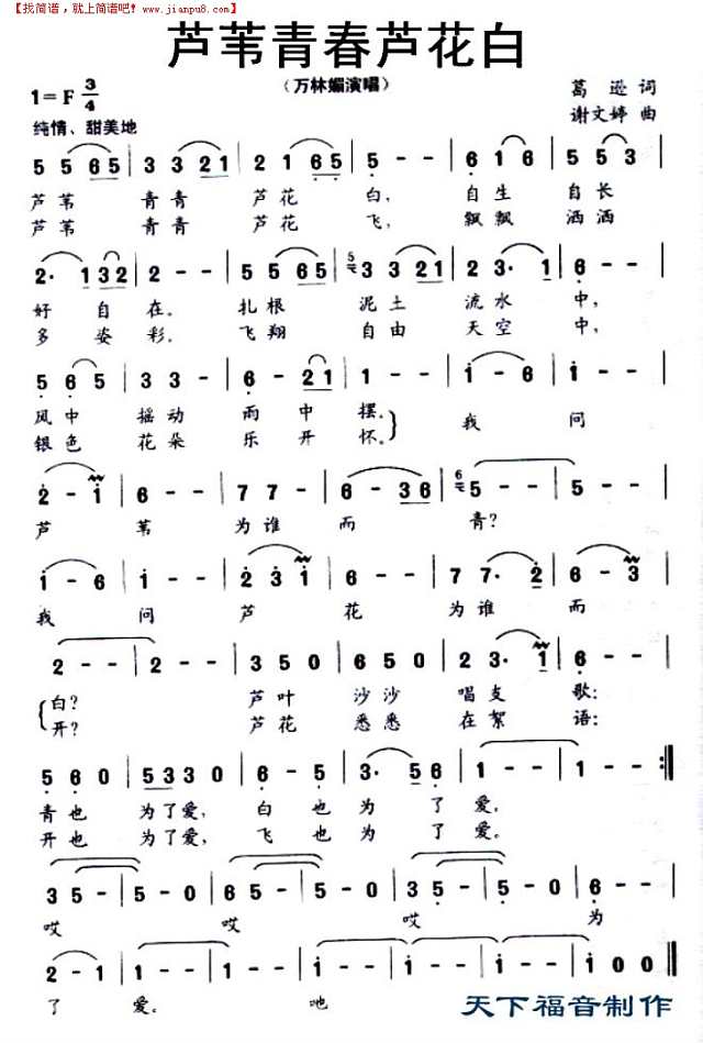 芦苇青春芦花白简谱