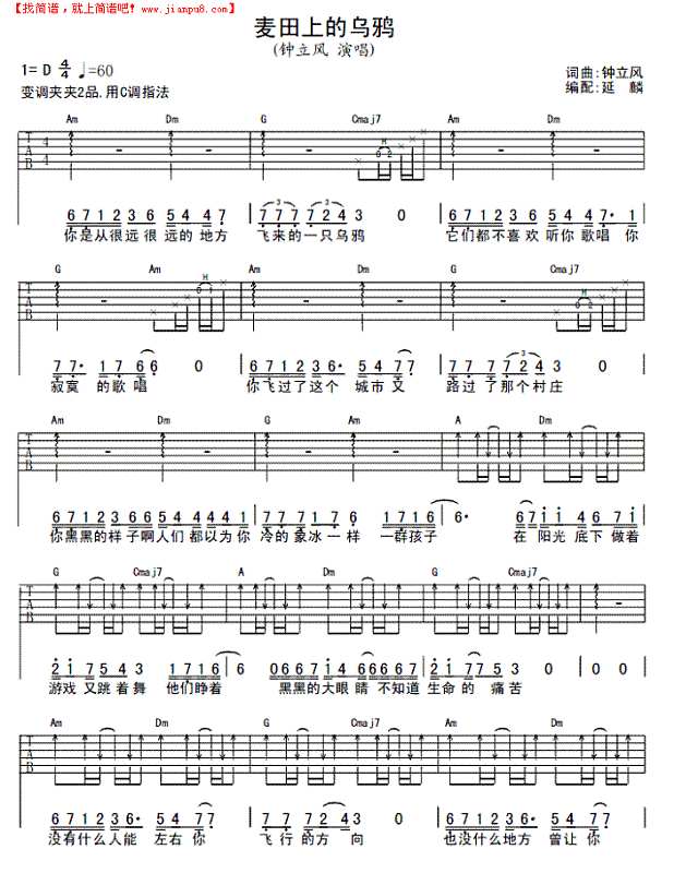 麦田上的乌鸦吉他谱