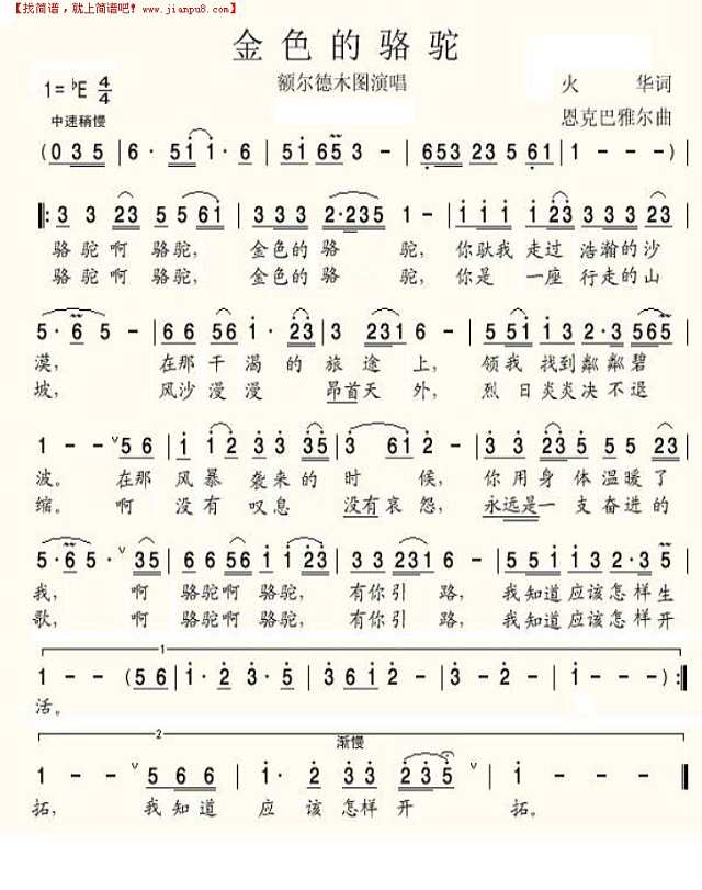 金色的骆驼简谱