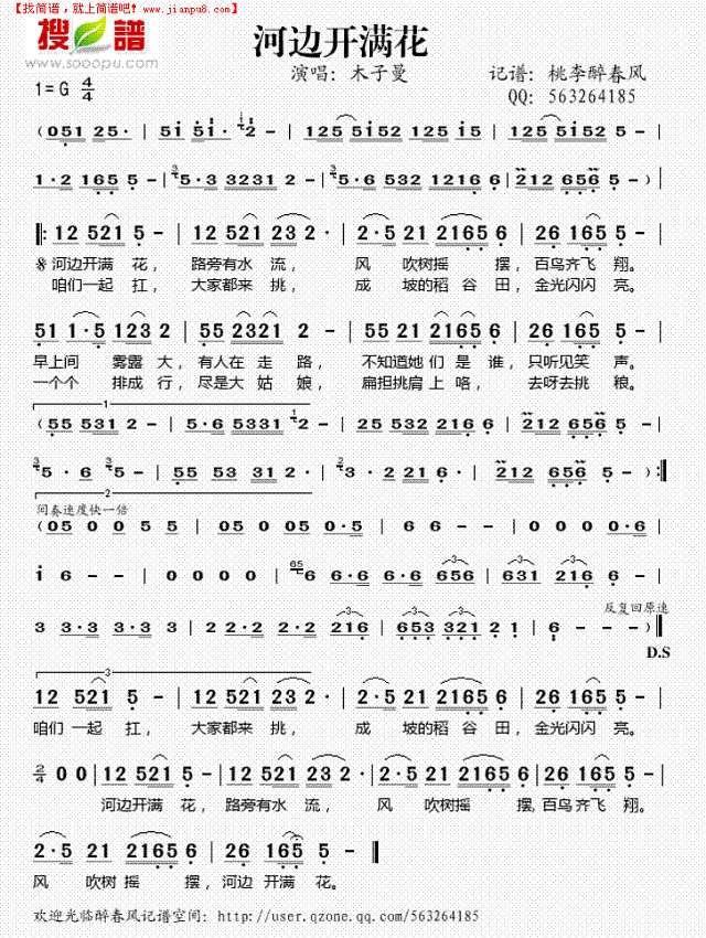河边开满花简谱
