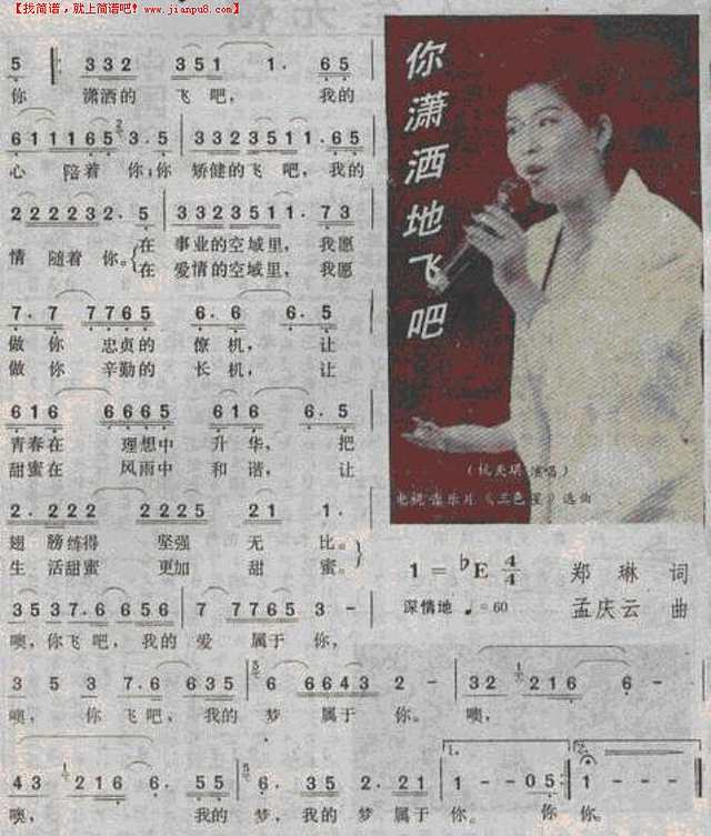 你潇洒地飞吧简谱
