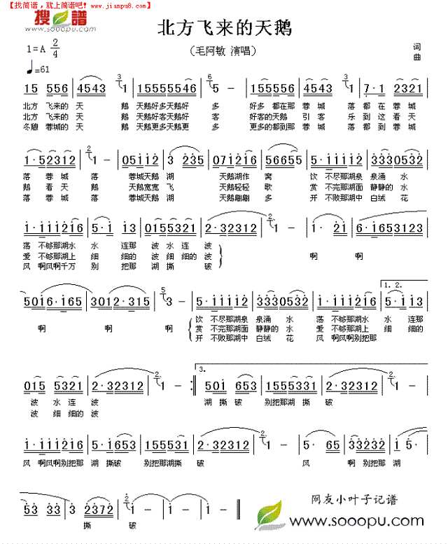 北方飞来的天鹅简谱
