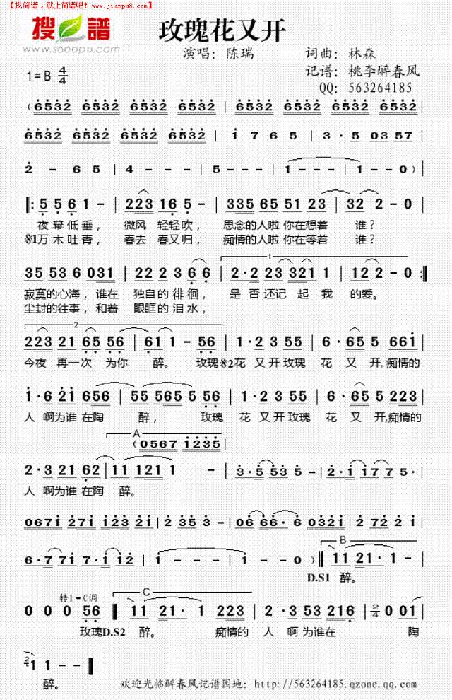 玫瑰花又开简谱
