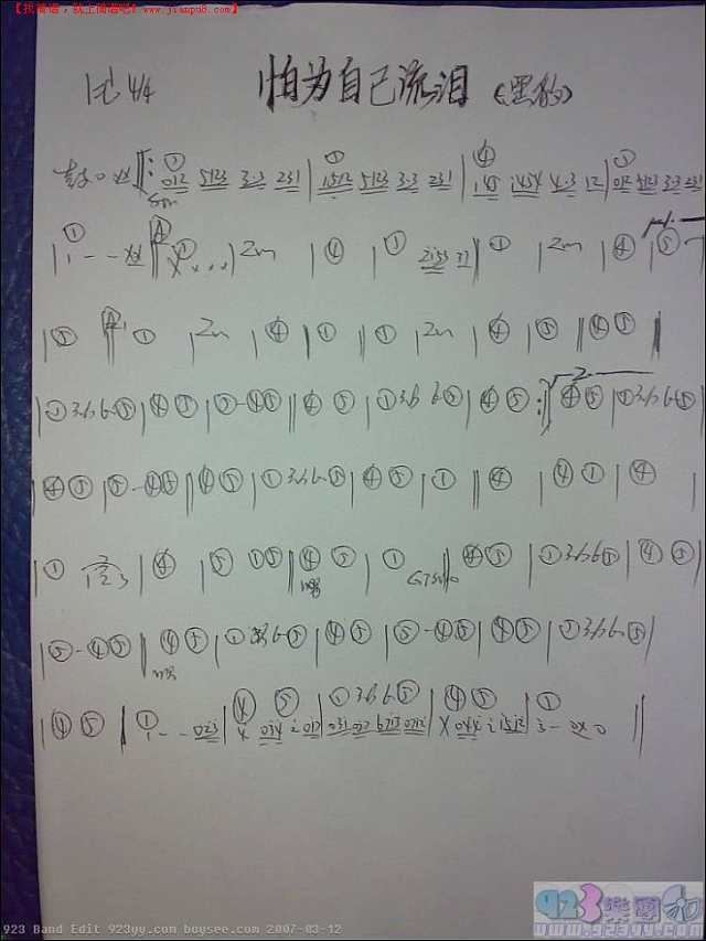 黑豹-怕你为自己流泪吉他谱
