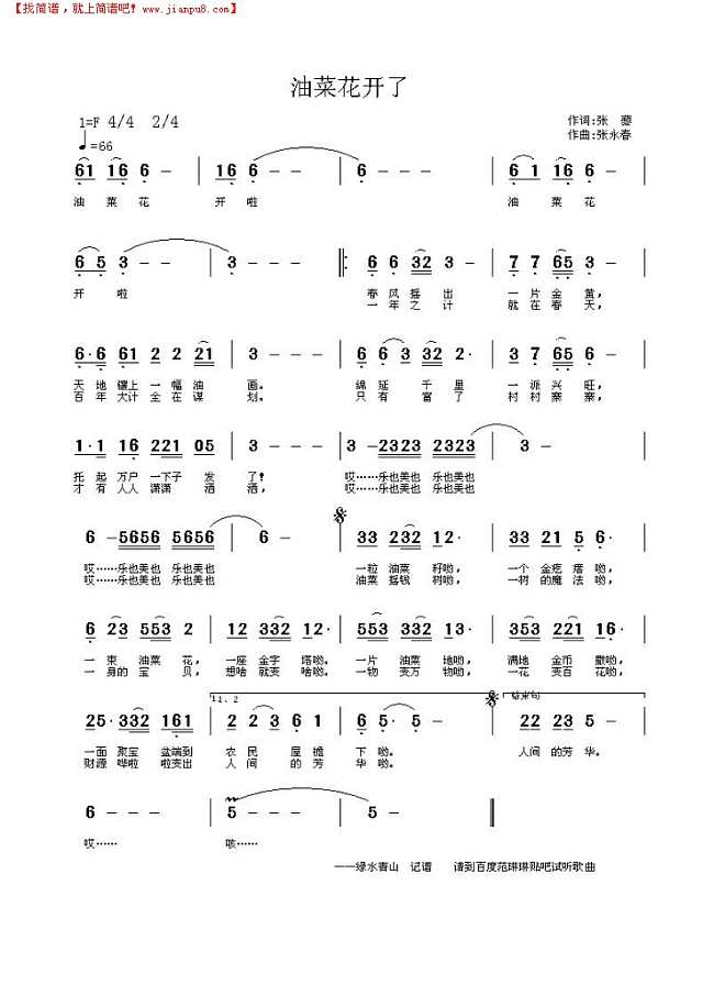 油菜花开了简谱