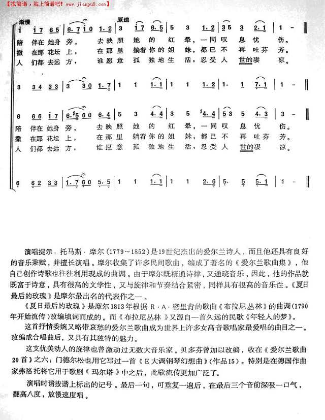 夏日最后的玫瑰简谱