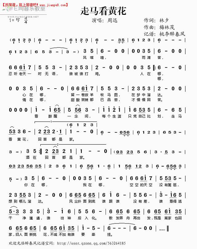 走马看黄花简谱
