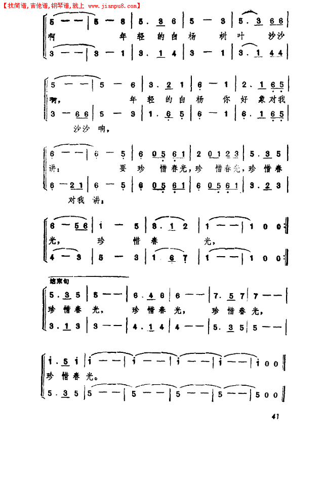 校园里有一排年轻的白杨简谱