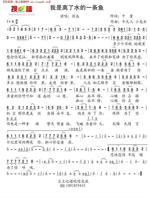 我是离了水的一条鱼简谱
