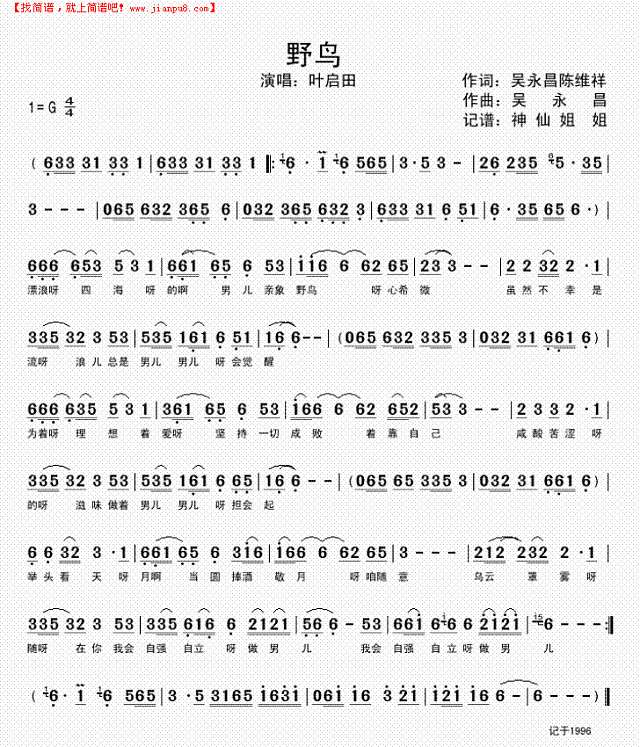 野鸟    闽南语简谱
