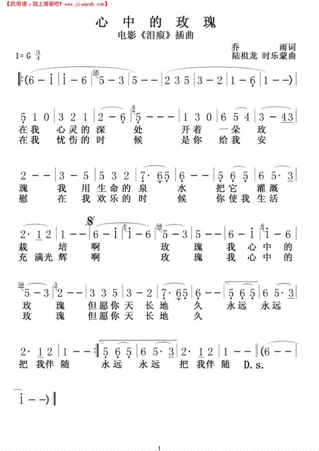 心中的玫瑰简谱
