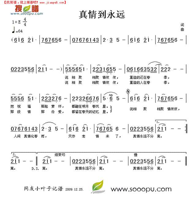 真情到永远简谱
