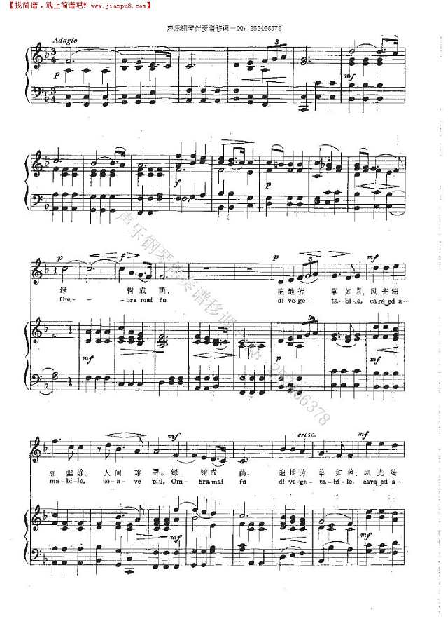 绿树成荫 钢琴伴奏谱钢琴谱
