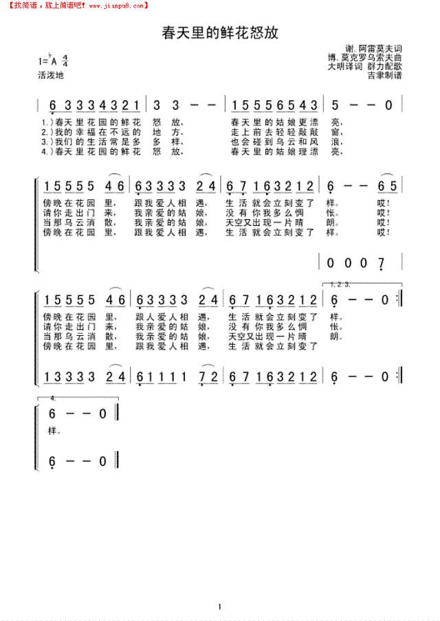 春天里的鲜花怒放简谱
